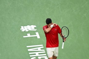 九游-德约科维奇爆冷击败德国队，逆转引爆全场！的简单介绍