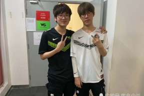 九游-TheShy新星精彩发挥表现惊艳，法国队未来可期！的简单介绍